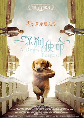 国产精品主播精选网红