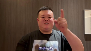 国产ts系列
